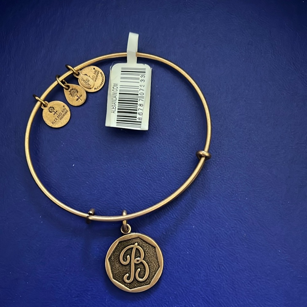 Alex and Ani (+) Energy Positivity bracelet NWT